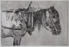 Horse Drawn